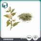 药蜀葵提取物_药蜀葵多糖碎叶_化妆品烟叶原料_厂家现货供应！